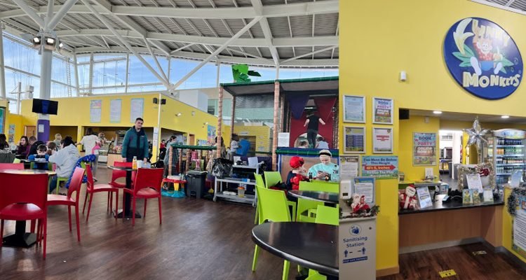 Funky Monkeys Banner