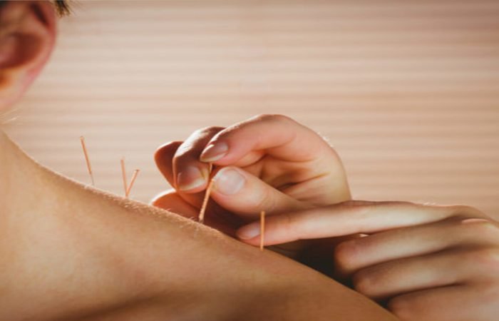 Nature harmony banner