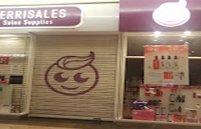 Terrisales salon banner