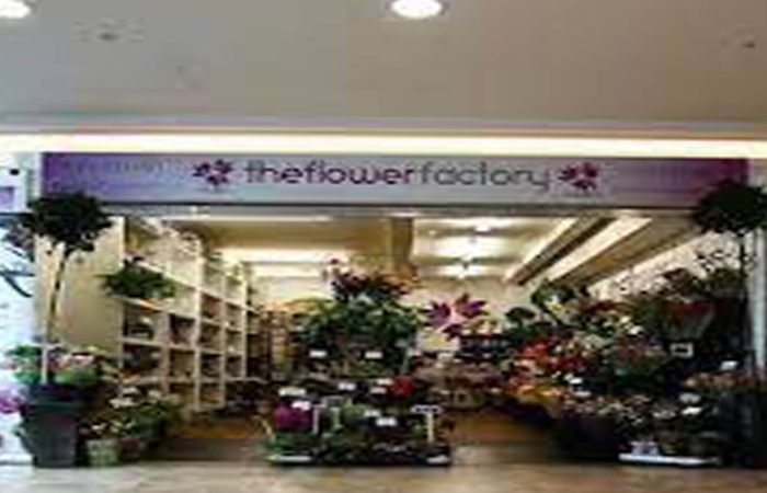 The flower factory banner