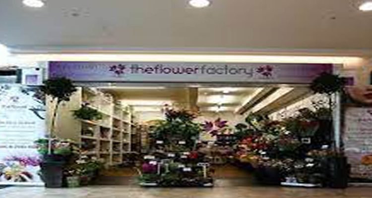 The flower factory banner